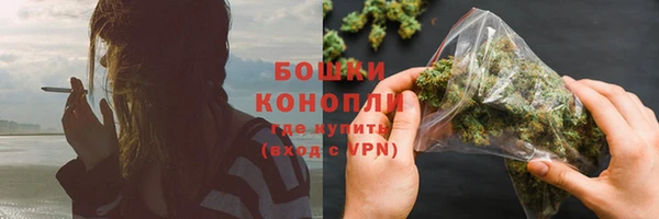 PSILOCYBIN Киренск