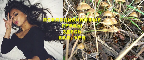 MDMA Premium VHQ Кинешма
