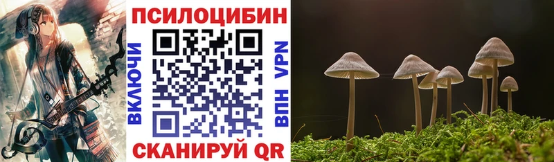 Псилоцибиновые грибы прущие грибы  наркота  Кирсанов 